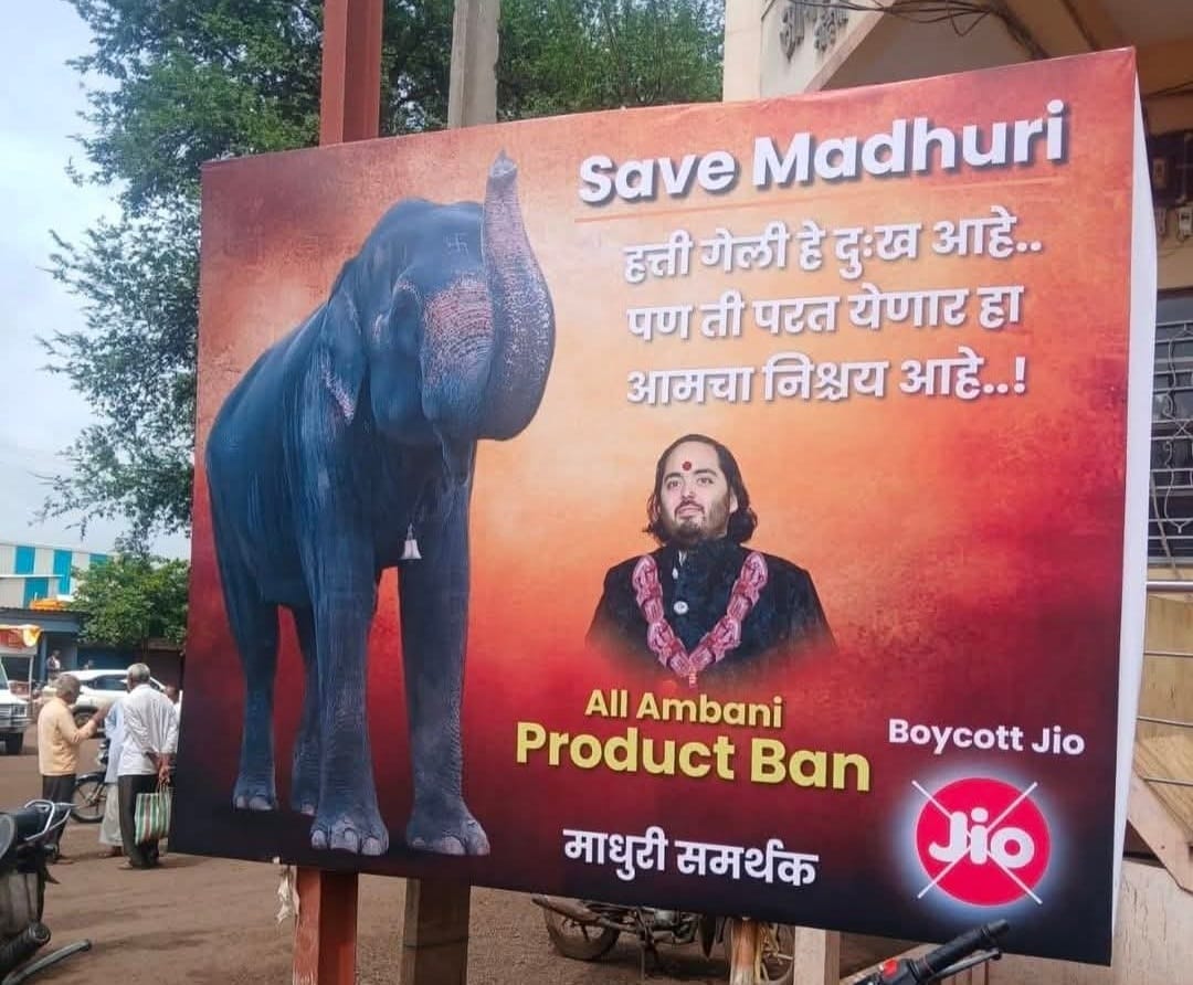 More than two lakh people demand the return of the elephant