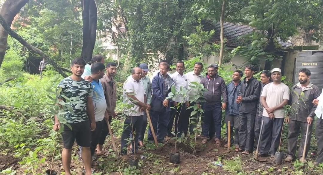 Tree plantation completed on behalf of Winners Zep