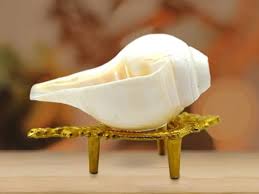 Benefits of blowing conch shells