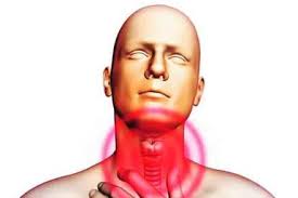 Why does the throat sit