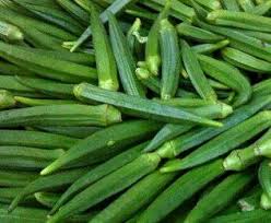 Okra a power house