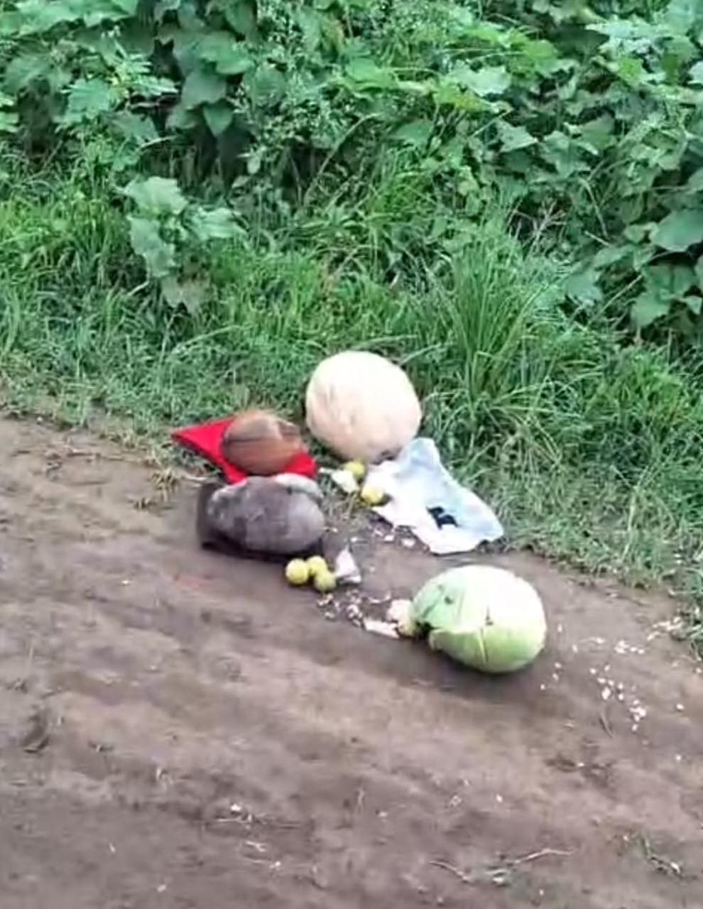 Another incident of Bhanamati in Ambap