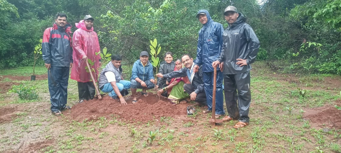 Tree Plantation Drive  Nature