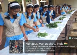 Wild vegetable exhibition organized