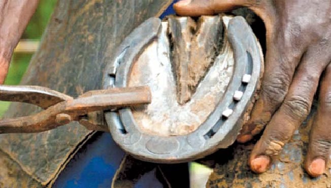 In the age of tractors the farrier