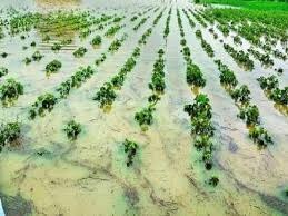 The schedule was disrupted by the rain