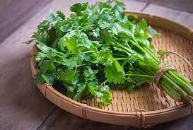 Eating cilantro removes bad cholesterol from the body