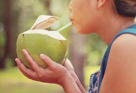 Should you drink coconut water during pregnancy