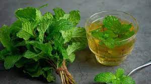 Amazing benefits of mint leaves in summer know