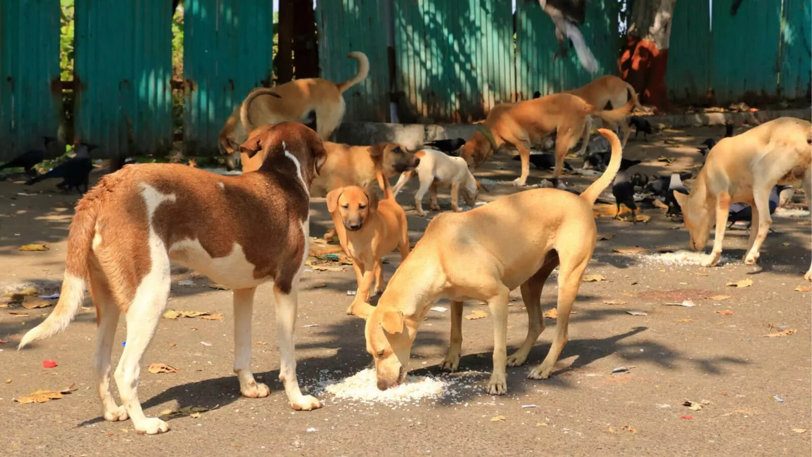 Action will be taken against