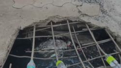 Will the new corporators be successful