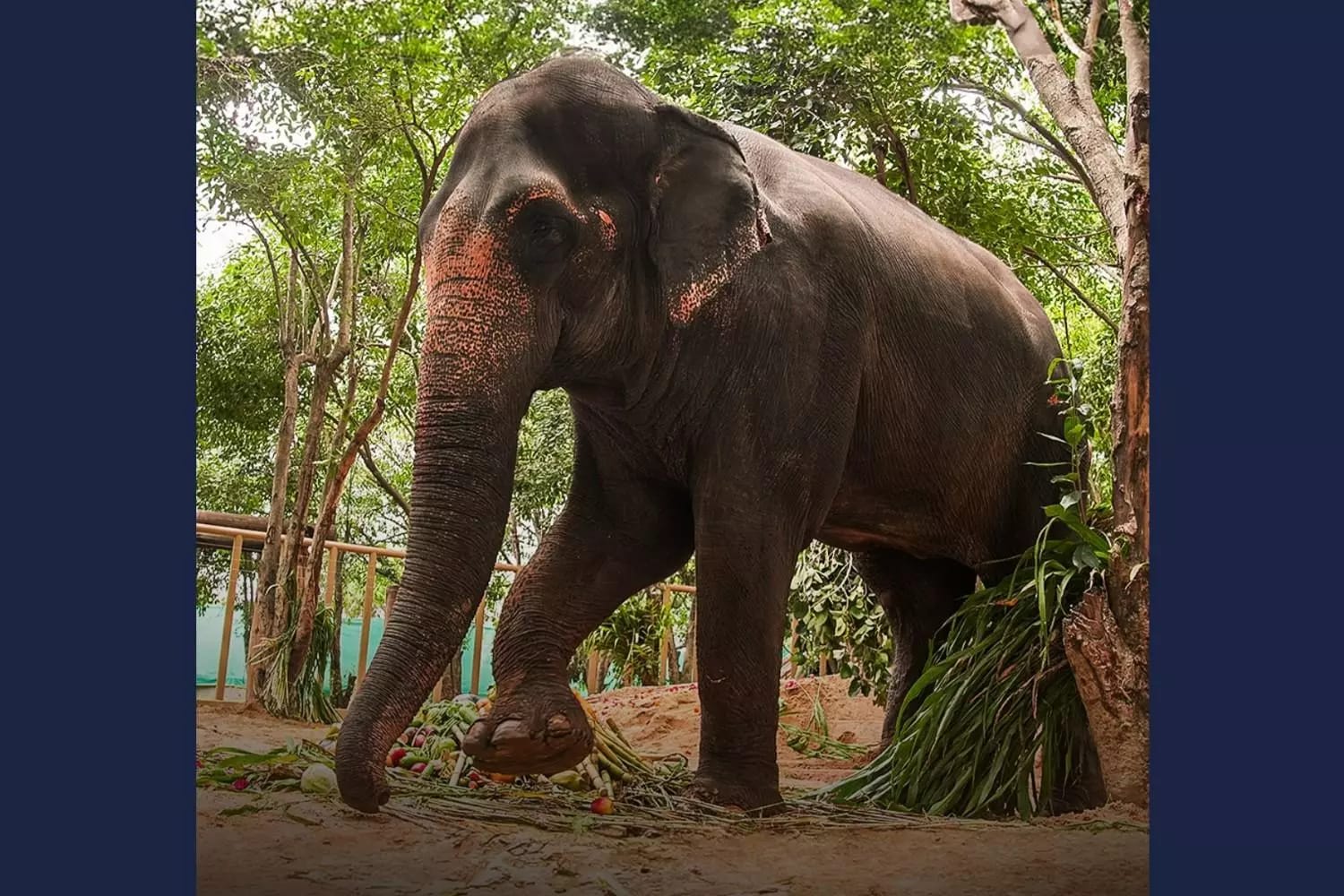 Madhuri will return to Nandani Math soon