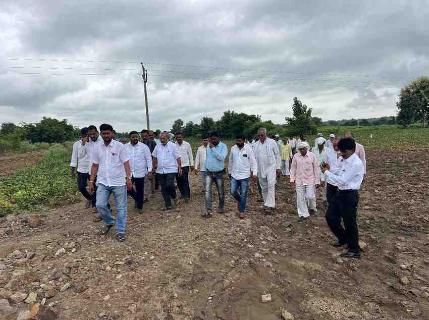 Crop damage due to rain