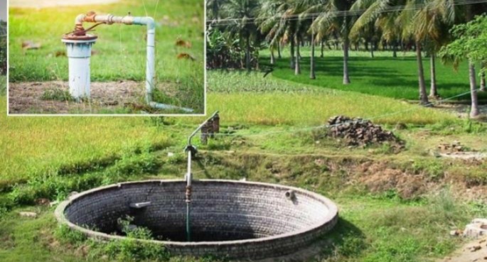 Dispute over crop inspection records Kotwal struck