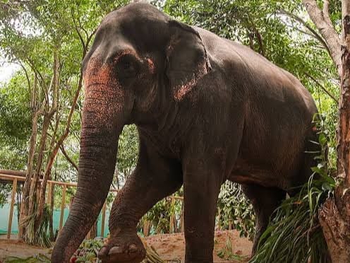 Hearing regarding Madhuri Hatti will be held on Thursday