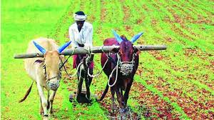 Heavy rains hit Kolhapur