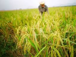 Extension of deadline for agricultural award proposals