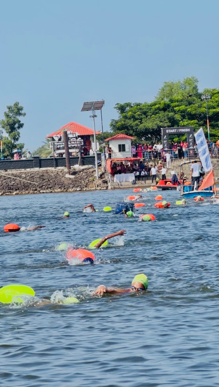 Over 200 swimmers participate in a swimming competition