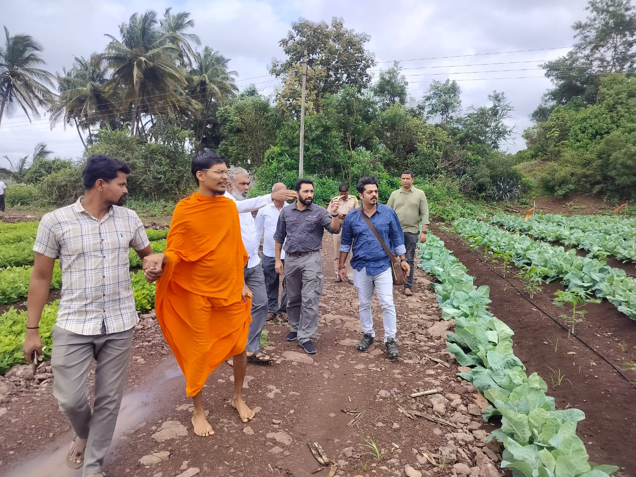 Preparations to set up elephant rehabilitation