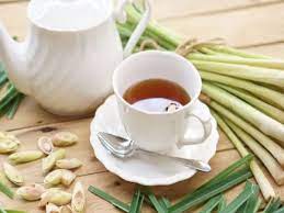 Drink this tea daily and lose weight