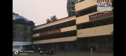 Nehru Junior College in Kolhapur achieved brilliant results in both the branches
