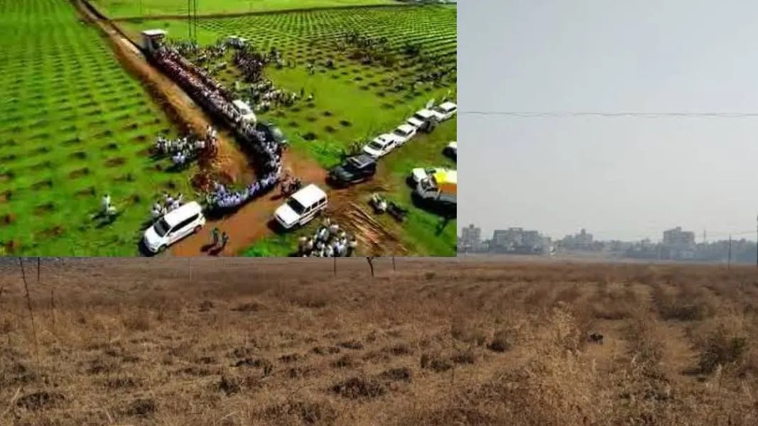 34 hectares 36 gunthas of land in Shenda Park to develop IT Park