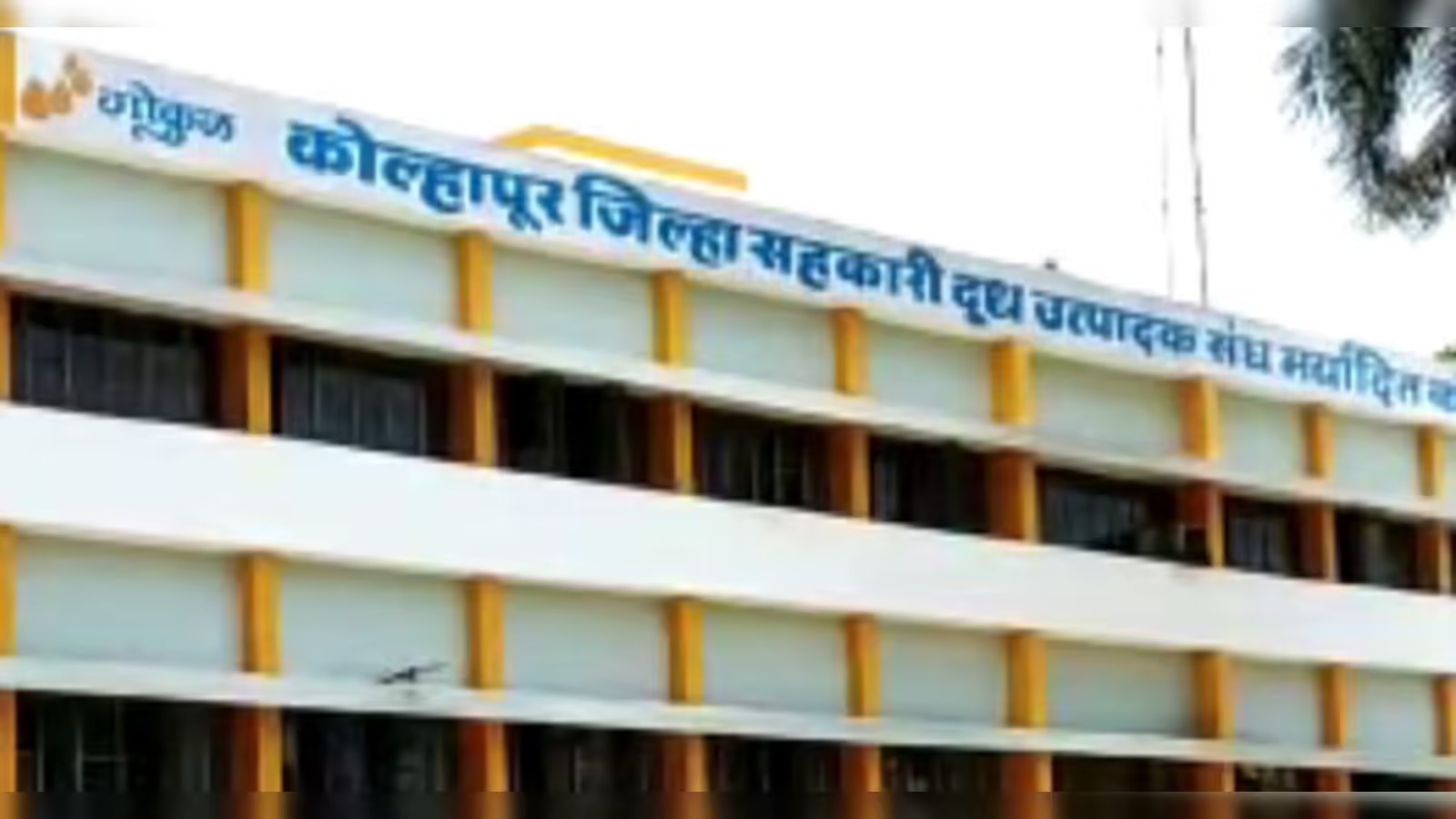 Honorable Chief Ministers order to start the Gokul election immediately and fight it as a grand alliance