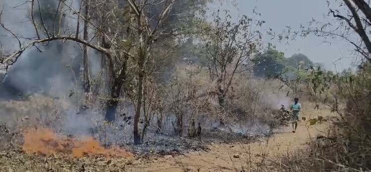 The number of wildfires has increased in the country